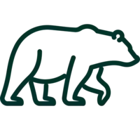 bear icon