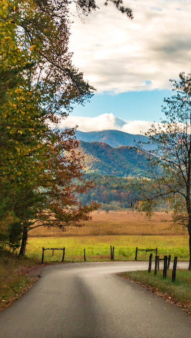 Cades Cove Loop Road